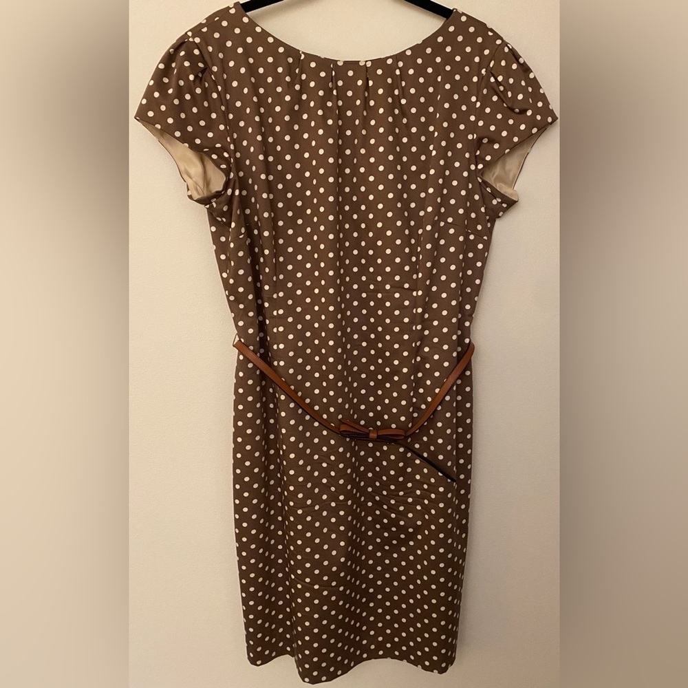 Comma Brown White Polka Dot Shoulder Cap Belted Sleeve Women’s Size 14